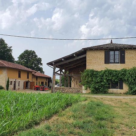 Le Moulin Du Fay Bed and Breakfast Villemotier Buitenkant foto